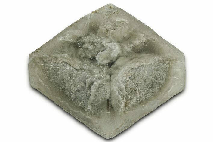 Selenite Crystal - Elder County, Utah #327002